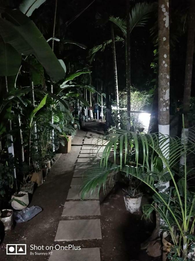 Anandi Villa Homestay Adhi エクステリア 写真